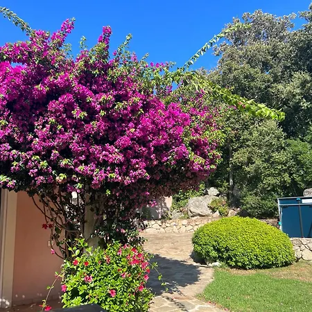 Casa Flamingo *