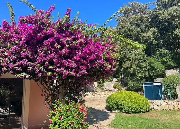 Casa Flamingo *